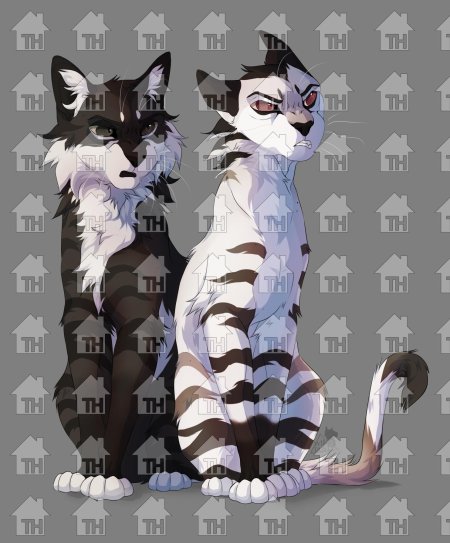 Кот воители