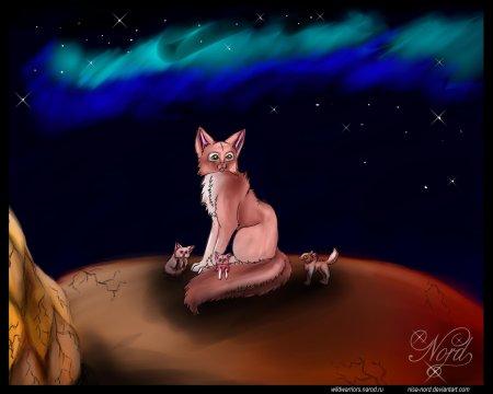 Коты воители ежевичная звезда и огнезвёзд