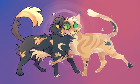 Коты воители шип