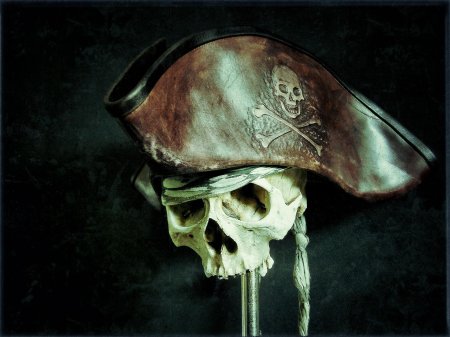 Пираты карибского моря череп