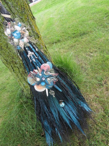 Кианит ведьмина метла