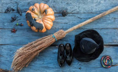 Метла ведьмы