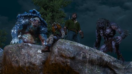 Ведьмак тролль