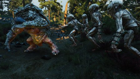 Накеры ведьмак