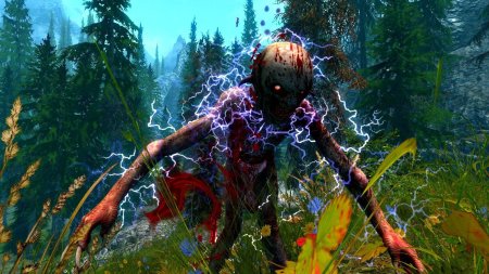 Накер ведьмак