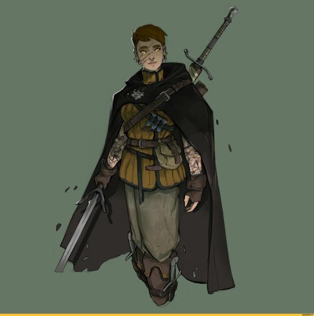 Ведьмак школы грифона арт