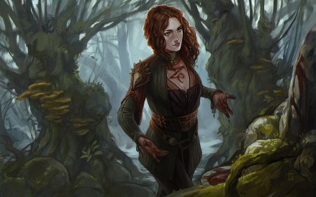 Арт ведьмак