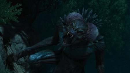 Гаркаин ведьмак