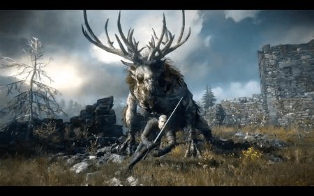 Игра ведьмак дикая охота