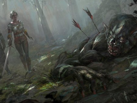 Туманник ведьмак 3