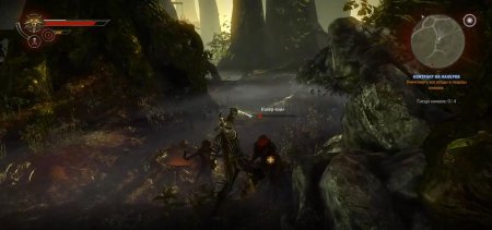 Гнезда накеров ведьмак 2