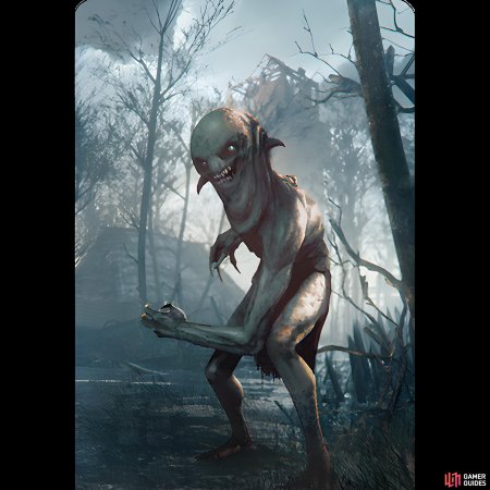 Накер ведьмак