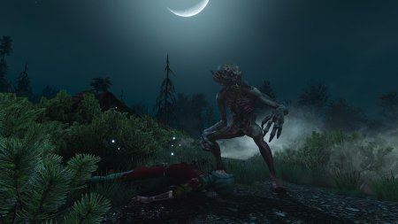 Туманник ведьмак 3