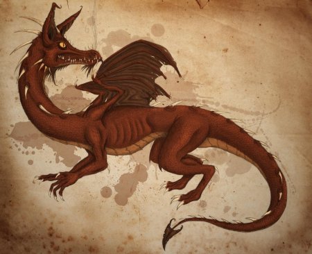 Накер дракон