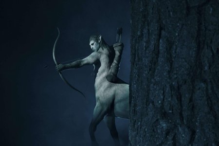 Кентавр гарри поттер