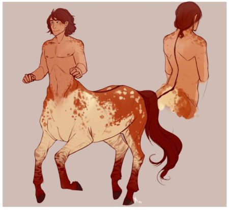 Hubedihubbe кентавры