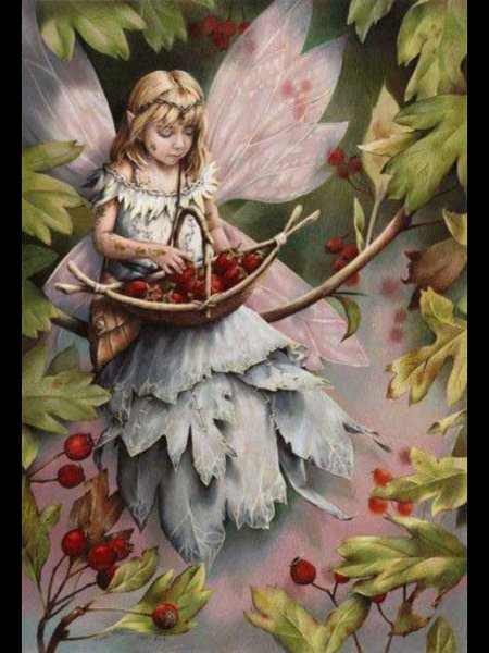 Цветочная фея