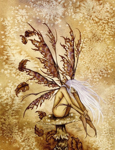 Эми браун феи