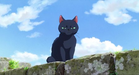 Мэри и ведьмин цветок кот