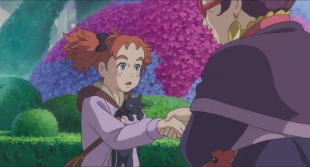 Мэри и ведьмин цветок