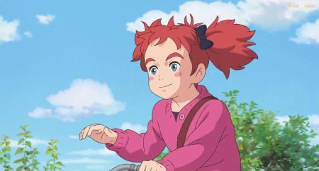 Mary and the witch s flower
