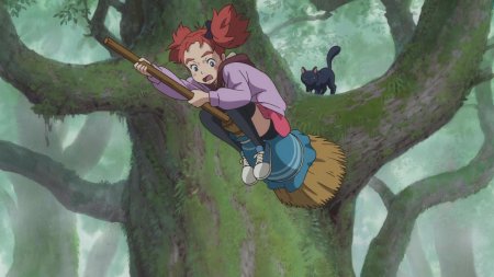 Мэри и ведьмин цветок ()