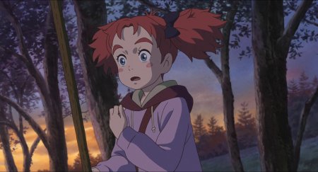 Хаяо миядзаки ведьмин цветок