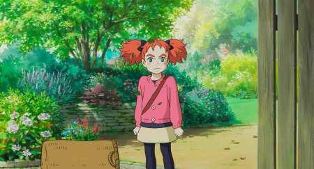 Мэри и ведьмин цветок