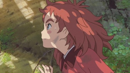 Мэри и ведьмин цветок