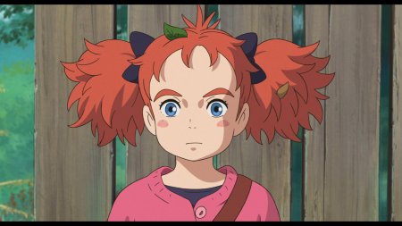 Мэри и ведьмин цветок