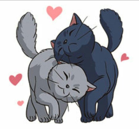 Мэри и ведьмин цветок кот