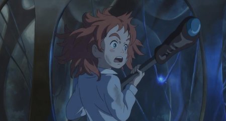 Мэри и ведьмин цветок