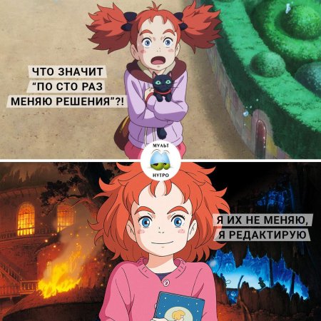 Мэри и ведьмин цветок