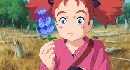 Мэри и ведьмин цветок хаяо миядзаки