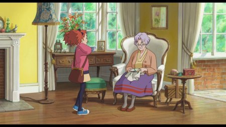 Мэри и ведьмин цветок