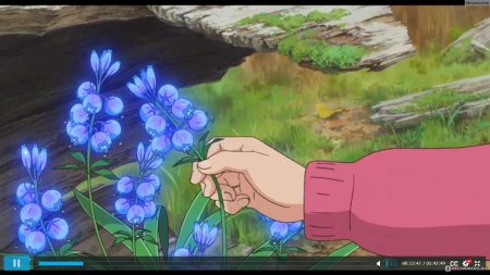 Аниме хаяо миядзаки ведьмин цветок