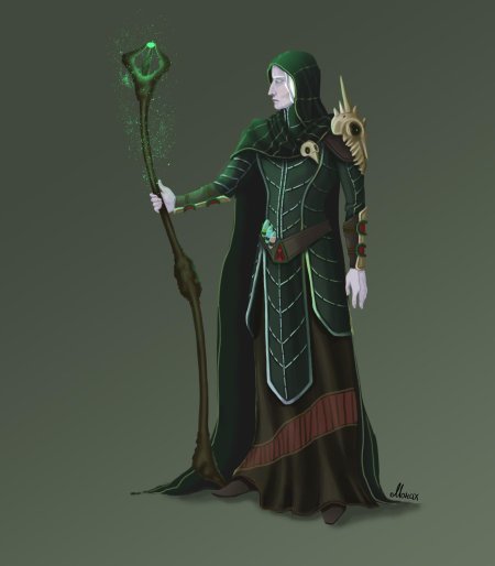 Полуорк некромант