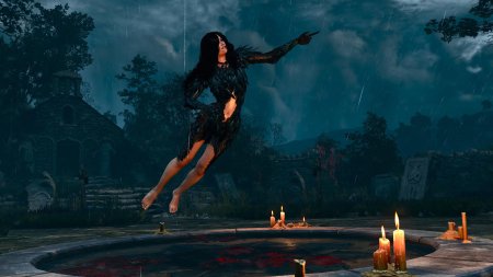 Игра ведьмак дикая охота