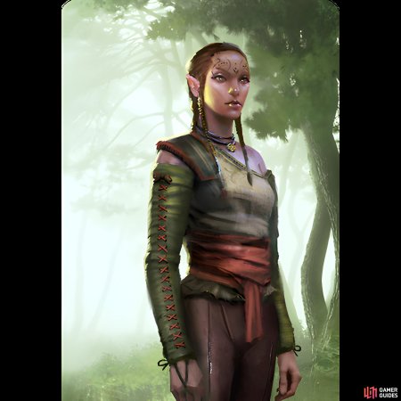 Торувьель ведьмак