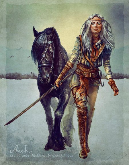 Ведьмак цири книжная