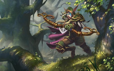 Аллерия ветрокрылая