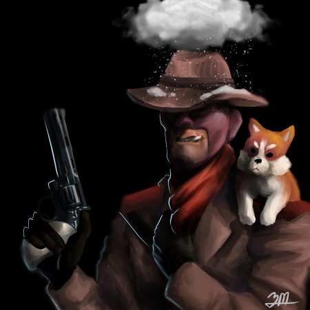 Тим фортресс шпион