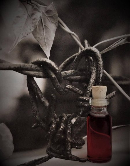 Ведьмина бутылка