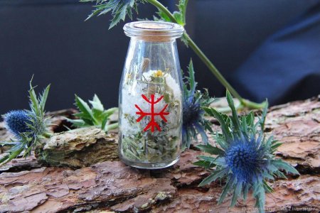 Ведьмина бутылка