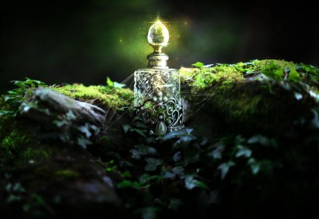 Обитель лесной ведьмы травник