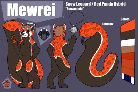 Красная панда фурри адопт