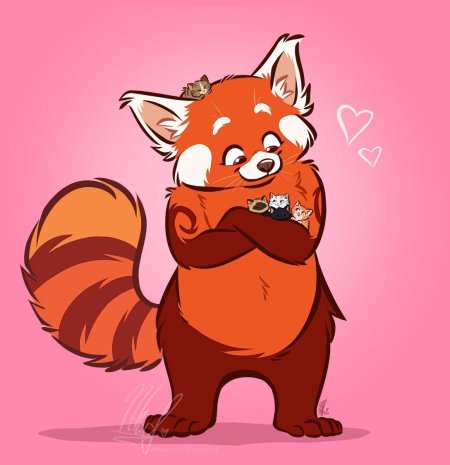 Красная панд