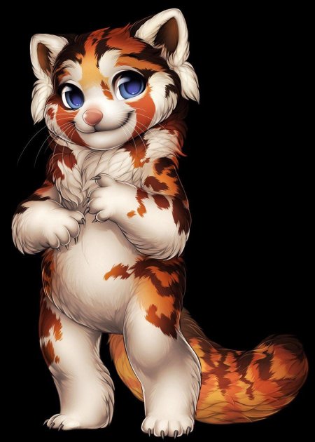 Фурвилла тигр