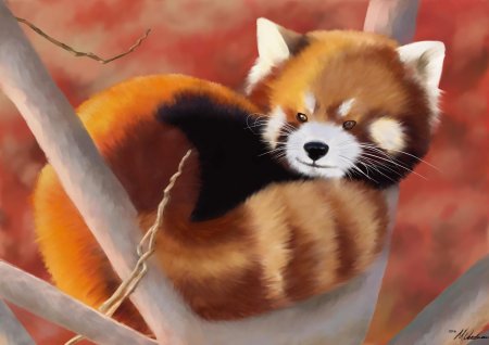 Картина красная панда