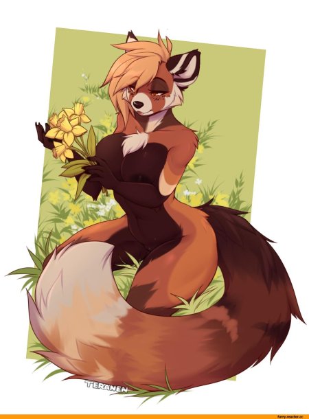 Фурри красная панда